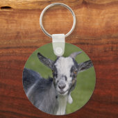 Pygmy Goat Keyring Sleutelhanger (Voorkant)