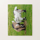 Pygmy Goat Kids Jigsaw puzzle Legpuzzel (Verticaal)