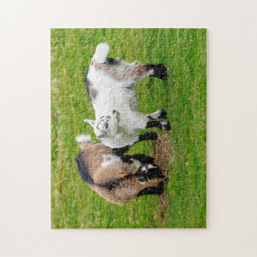 Pygmy Goat Kids Jigsaw puzzle Legpuzzel (Verticaal)