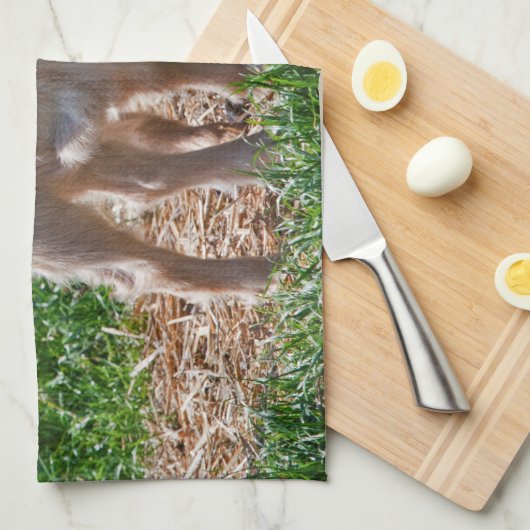 Pygmy Goat Kinder Kitchen Towel Theedoek (Quarter Fold)