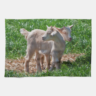 Pygmy Goat Kinder Kitchen Towel Theedoek
