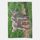 Pygmy Goat Kinder Kitchen Towel Theedoek (Verticaal)