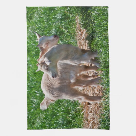 Pygmy Goat Kinder Kitchen Towel Theedoek (Verticaal)