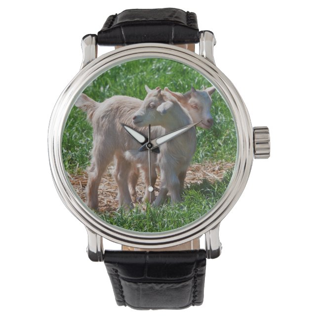 Pygmy Goat Kinder Watch Horloge (Voorkant)