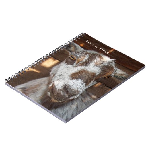 Pygmy Goat Notebook Notitieboek (Linkerzijde)