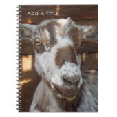 Pygmy Goat Notebook Notitieboek (Voorkant)