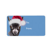 Pygmy Goat Santa Goat Christmas Gift Label (Voorkant)