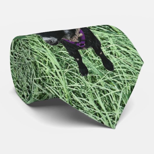 Pygmy Goat Stropdas (Opgerold)