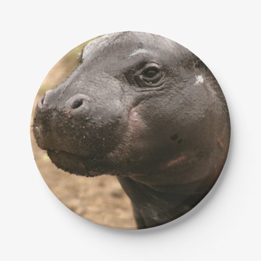 pygmy-hippo-1 papieren bordje (Voorkant)