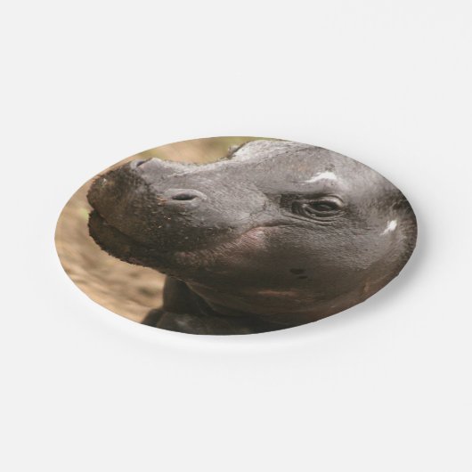 pygmy-hippo-1 papieren bordje (Gekanteld)