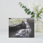 Pygmy Hippo Briefkaart (Staand voorkant)