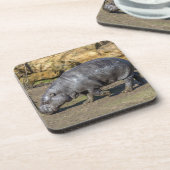 Pygmy hippo harde plastic onderzetters (Linkerzijde)