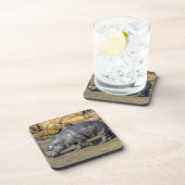 Pygmy hippo harde plastic onderzetters (Rechterzijde)
