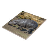 Pygmy hippo keramische tegel tegeltje (Zijkant)