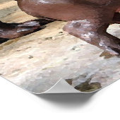 Pygmy Hippo Pair Hippopotamus Portret Poster (Hoek)