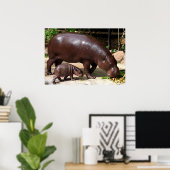 Pygmy Hippo Pair Hippopotamus Portret Poster (Thuiskantoor)