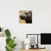 Pygmy Hippo Poster (Thuiskantoor)
