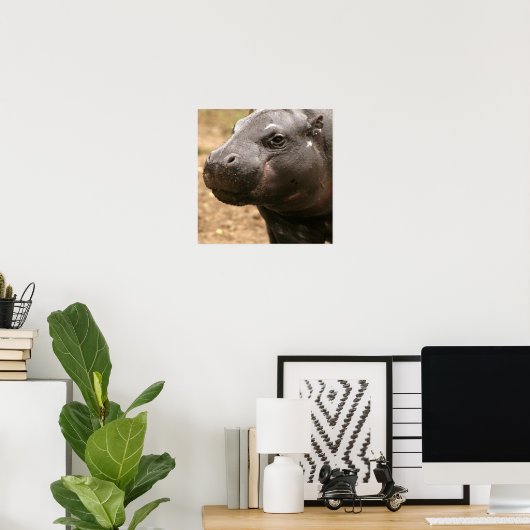 Pygmy Hippo Poster (Thuiskantoor)