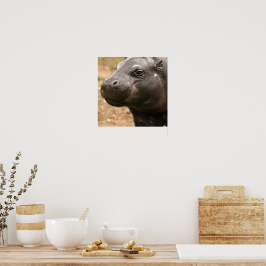 Pygmy Hippo Poster (Keuken)