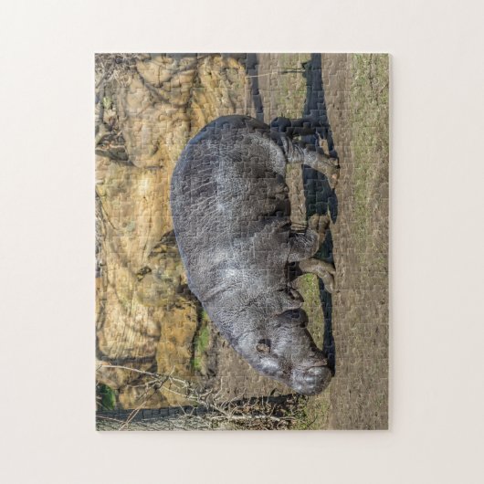 Pygmy hippo puzzle legpuzzel (Verticaal)