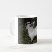 Pygmy Kind Koffiemok (Voorkant links)