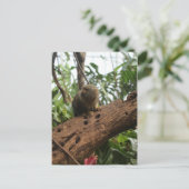 Pygmy Marmoset # 2 Briefkaart (Staand voorkant)