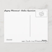 Pygmy Marmoset # 3 Briefkaart (Achterkant)