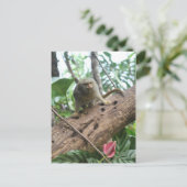 Pygmy Marmoset # 8 Briefkaart (Staand voorkant)