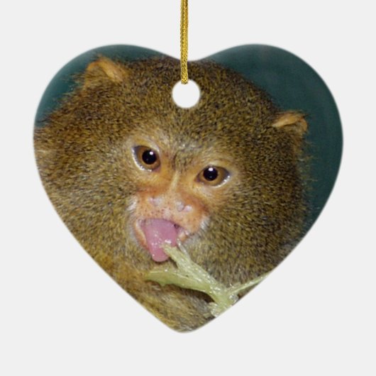 Pygmy Marmoset kerstversiering Keramisch Ornament (Achterkant)