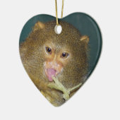 Pygmy Marmoset kerstversiering Keramisch Ornament (Links)