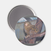 Pygmy Marmoset Portrait Magneet (Voorkant / Achterkant)