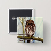 Pygmy Owl Vierkante Button 5,1 Cm (Voorkant /achterkant)