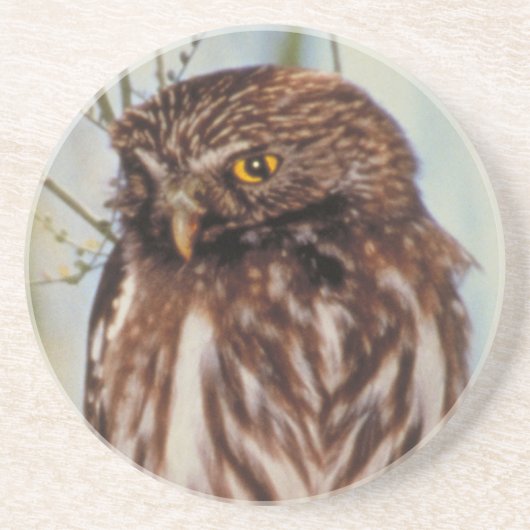 Pygmy Owl Zandsteen Onderzetter (Voorkant)