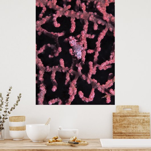 Pygmy Seahorse Poster (Keuken)