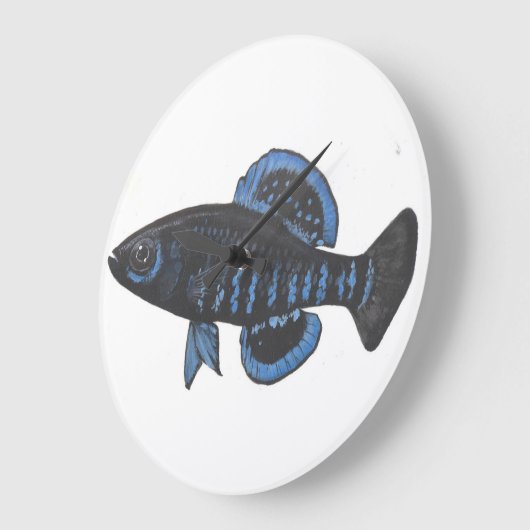 Pygmy Sunfish Elassoma gilberti Wall klok (Hoek)