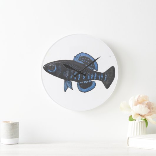 Pygmy Sunfish Elassoma gilberti Wall klok (Huis)