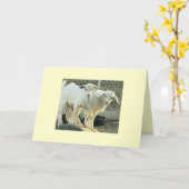 Pygmy Tweelingen van de Geit Kaart (Gele Bloem)