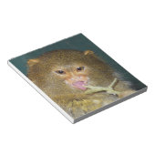 pygmymarmoset10x10 notitieblok (Schuin)