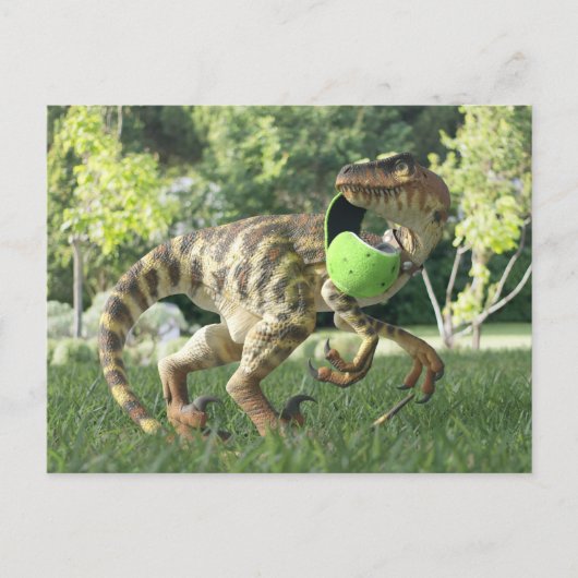 PygmyPets Raptor 3D - Briefkaart (Voorkant)