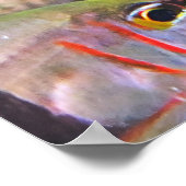 pyjamakardinaalvis poster (Hoek)