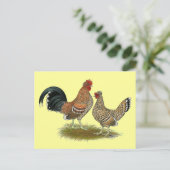 Pyncheon Bantams Briefkaart (Staand voorkant)