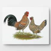 Pyncheon Bantams Fotoplaat (Voorkant)