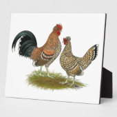 Pyncheon Bantams Fotoplaat (Zijkant)