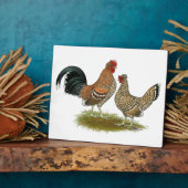 Pyncheon Bantams Fotoplaat (Zijkant)