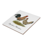 Pyncheon Bantams Tegeltje (Zijkant)