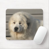 Pyr Power Muismat (Met muis)