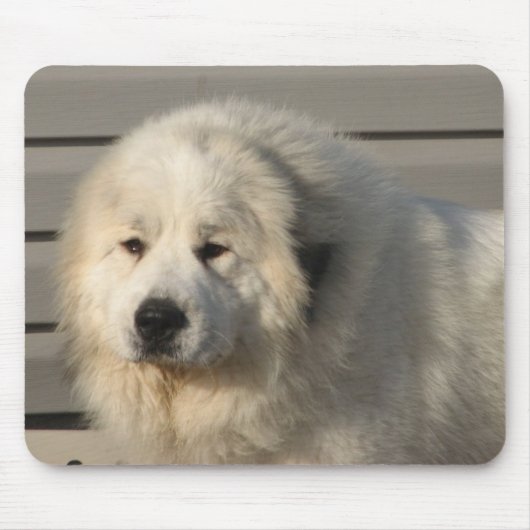 Pyr Power Muismat (Voorkant)