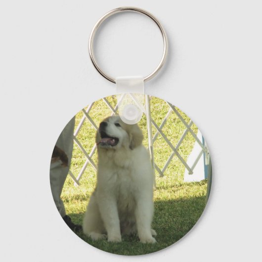 Pyr Puppy Sleutelhanger (Voorkant)