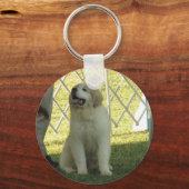 Pyr Puppy Sleutelhanger (Voorkant)