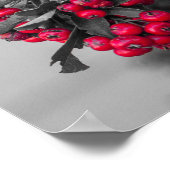 Pyracantha-bes-art-poster Poster (Hoek)